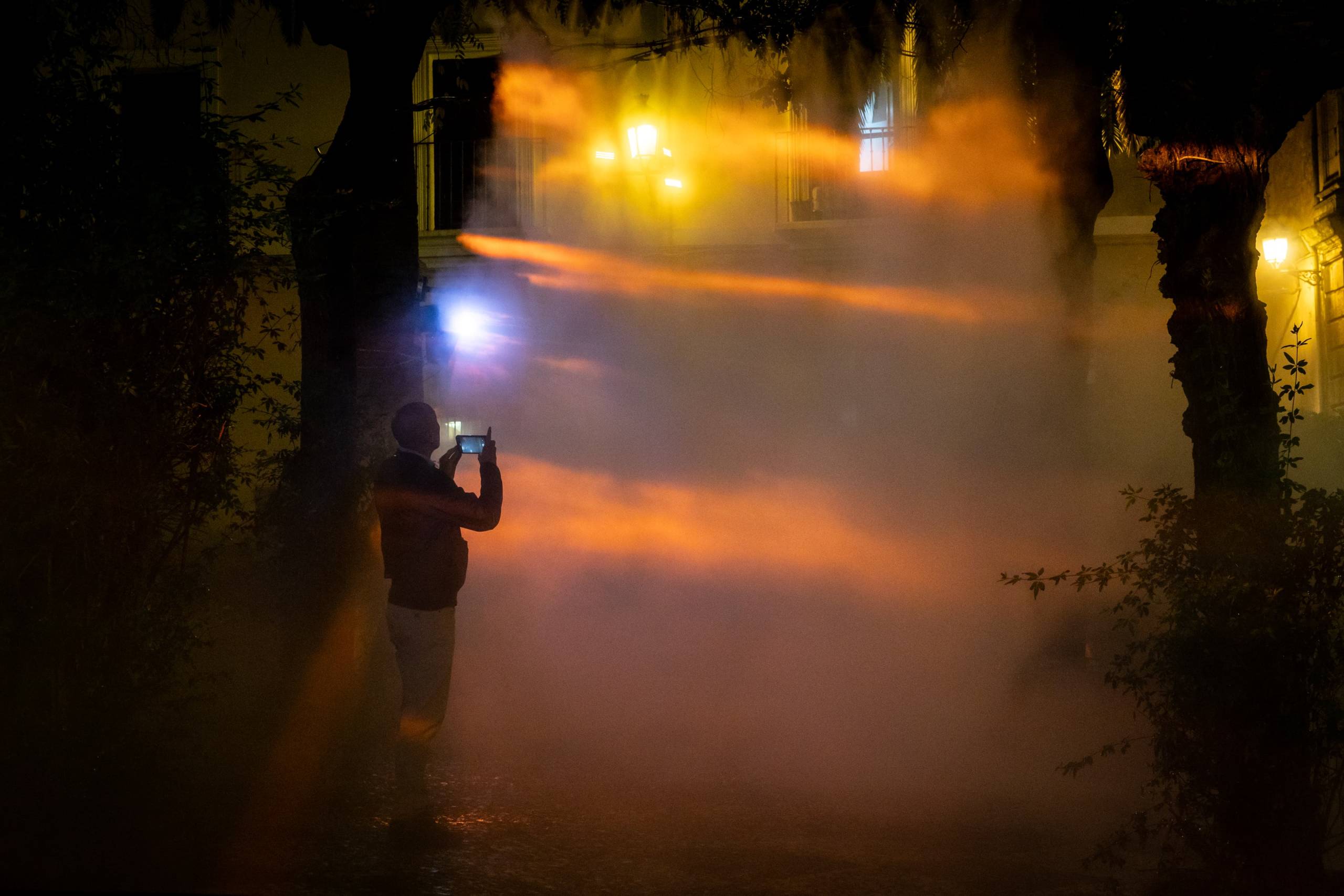 El despertar de la dehesa (2025)